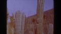 Texas-1958: Stranded In The Dessert With Nowhere To Go And Cacti Are Your Only