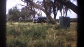 Kenya-1969: Wildlife Zoo Jeep Lonely In Field