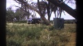 Kenya-1969: View Of Tall Grass And Grey Truck Parked Near Trees On A Clear Day