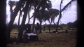Kenya-1969: Men Gathered Together In White Clothes On A Beautiful Day In Green