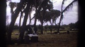 Kenya-1969: A Man Doing His Laundry Beneath Palm Trees