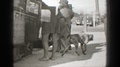 California-1939: Man Picking Up Dog While Three Other Men Watch On Street Corner