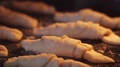 Close Up Of Delicious Plain Croissants Cooking Inside Hot Oven, Rack Focus