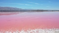 Water Edge Panoramic View Of Shallow Pink Salt Flats And Mountain Range,