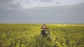 Boy Is Going Through Yellow Field Of Rapeseed