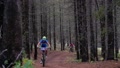 Female Competitive Cyclists Riding Bikes On Dirt Trail Through The Woods
