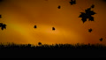 Autumn Leaves Falling In Silhouette Against A Sunset Sky
