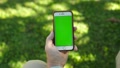 Male Hand Holds Vertical Green Screen Mobile Phone In Garden, Sunlight On Hand