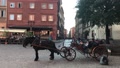 Warszawa, Poland, A Horse Drawn Carriage On A City Street