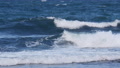 Ocean Wave Healing Sound For Fresh Mind Meditation