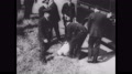 1930s Chicago: Police Officer Lays Man On Ground. Police Officers Walk Around.