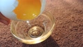 Break Separate Cracked Egg Yolk Pouring Dropping Falling Dripping In Glass Bowl
