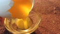 Close Up Separate Cracked Egg Yolk Pouring In Glass Bowl