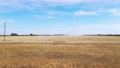 Camera Motion Along Wide Fields Of Cut Crops, With Yellow Dried Debris Covering