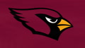 Flag With Arizona Cardinals Team Logo
