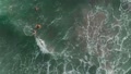 Aerial Top Down View Of People Excited And Enjoying Bathing In The Sea