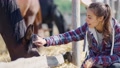 Casual Happy Woman Petting Horse On Countryside Farm Or Ranch