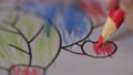 Macro Close Up Red Pencil Children Drwaing Colorful Draw