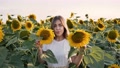 Young Beautiful Woman Posing In Field Sunflowers. Agronomist Shows Good Harvest