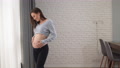 Young Beautiful European Woman Pregnant Stands Near The Window. Communication