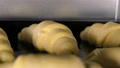 Croissants Baking Inside Oven. Time Lapse Footage Of Cooking. Close-Up Time L
