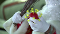 German Santas Hope To Bring Cheer Despite Masks