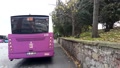 Purple Colored Bus Parked